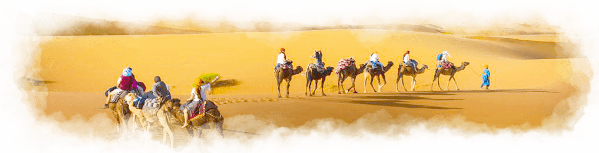 Camel trekking tour
